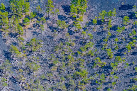San Antonio crater at La Palma, Canary Islands, Spain.の写真素材