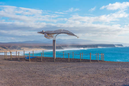 Whale skeleton displayed at Fuerteventura, Canary islands, Spain.
