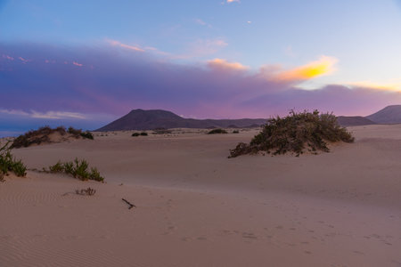 Sunset view of Corralejo sand dunes at Fuerteventura, Canary islands, Spain.の写真素材