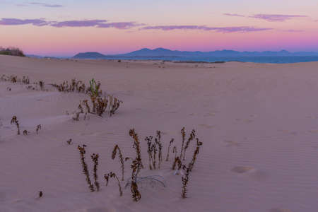 Sunset view of Corralejo sand dunes at Fuerteventura, Canary islands, Spain.の写真素材