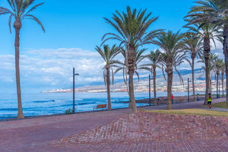 Seaside promenade at Playa de las Americas, Tenerife, Canary Islands, Spain.の写真素材