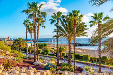Playa de las Vistas at Tenerife, Canary islands, Spain.のeditorial素材