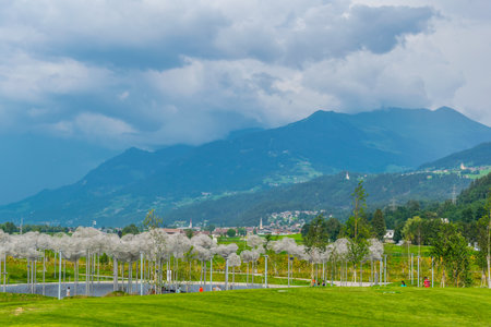 WATTENS, AUSTRIA, JULY 27, 2016: Sculpture called Clouds inside of the swarovski Kristallwelten complex in Wattens, Austria.のeditorial素材