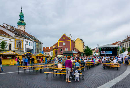 SOPRON, HUNGARY, JUNE 17, 2016: View of the main boulevard Varkerulet surrounding the historical center of the hungarian city Sopron.のeditorial素材