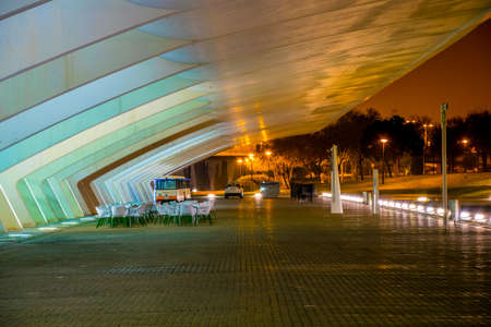 VALENCIA, SPAIN, DECEMBER 31, 2015: City of arts and sciences designed by Santiago Calatrava architect in Valencia during nightのeditorial素材