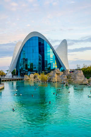 VALENCIA, SPAIN, DECEMBER 31, 2015: L'Oceanographic Center. The Aquarium at the City of the Arts and Sciences in Valencia attracts hundreds of visitors every day for a dolphin show and other attractions.のeditorial素材