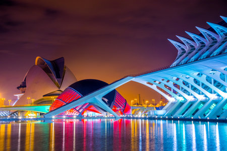 VALENCIA, SPAIN, DECEMBER 31, 2015: View of the palau de les arts reina sofia concert hall with Hemisferic in spanish city valencia during nightのeditorial素材