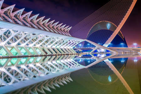 VALENCIA, SPAIN, DECEMBER 31, 2015: City of arts and sciences designed by Santiago Calatrava architect in Valencia during nightのeditorial素材