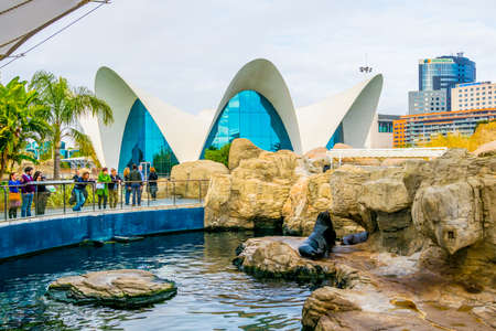 VALENCIA, SPAIN, DECEMBER 31, 2015: L'Oceanographic Center. The Aquarium at the City of the Arts and Sciences in Valencia attracts hundreds of visitors every day for a dolphin show and other attractions.のeditorial素材