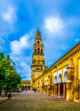 CORDOBA, SPAIN, JANUARY 8, 2016: people are walking among orange trees situated on a courtyard of the la mezquita cathedral in the spanish city cordobaのeditorial素材