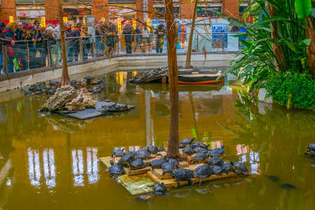MADRID, SPAIN, JANUARY 10, 2016: View of a turtle pond situated inside of the atocha train station in madridのeditorial素材