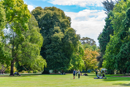 CHRISTCHURCH, NEW ZEALAND, JANUARY 21, 2020: People are strolling through Christchurch Botanic gardens, New Zealandのeditorial素材