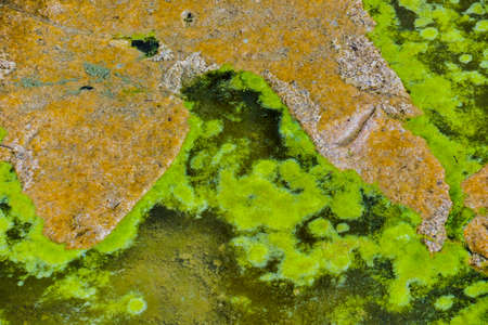 Dirty water; environmental pollutionの写真素材