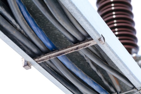 electric cable lying in the tray, and is fixed belowの写真素材