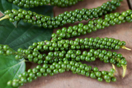 Fresh green peppers, (Piper nigrum),unripe,on a wooden floor,leaved,natural,tropical,herbal,and...