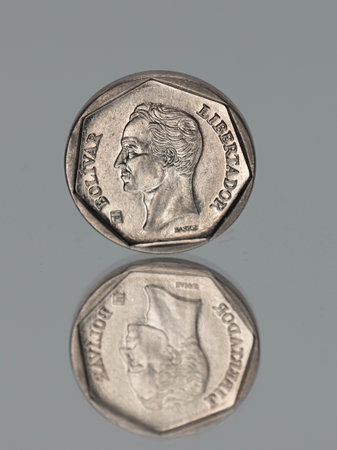 High Class Photo of Venezuelan Bolivar