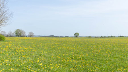 The Nature around Monschau in the german Eifelの写真素材