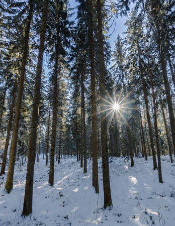 Trekking in Germanys Black Forest in the Winter with Snow and Iceの写真素材