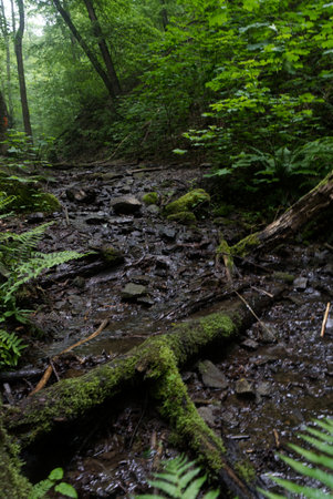 Dark Pictures from the Ruppertsklamm in Koblenz Germany, Autumnの写真素材