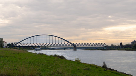 Macro of a Beautfiul Flowerの写真素材