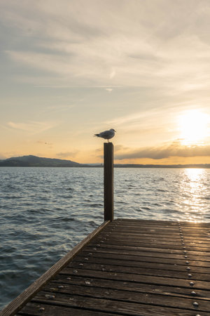 An Evening at the Zuger Lake in Switzerland - Sundown with great Coloursの写真素材