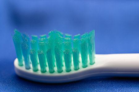 Artistic Picture of the Tip of a Toothbrush with empty Space for Text - High Quality for Dentistsの写真素材
