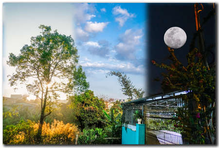 The moon in the night skyの写真素材