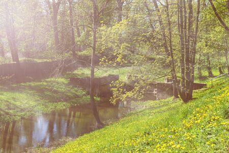Park in the city center of Kaliningrad near the Victory squareの写真素材