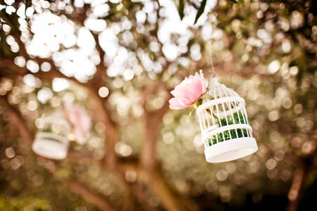  Wedding floral decorative glass ball with pink rose on the tree