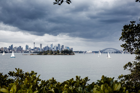 Sydney harbor and downtown buildingsのeditorial素材