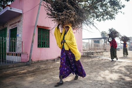 RAJASTHAN, INDIA - JANUARY 9, 2015: Indian women carrying brushwood on head on January 9, 2015 in...