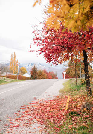 Arrowtown, New Zealandの写真素材
