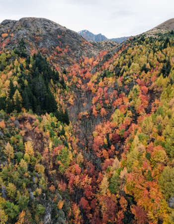 Arrowtown, New Zealandの写真素材