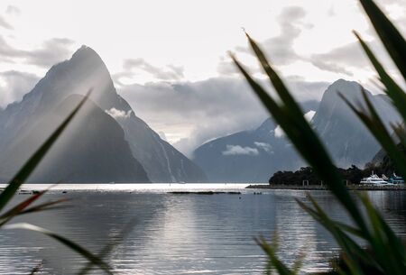 Milford Sound in New Zealandの写真素材