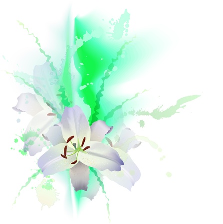 three white Lily and green grass のイラスト素材