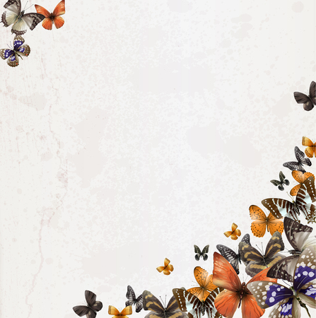 Paper background with colorful butterflies, vector illustration, clip-artのイラスト素材