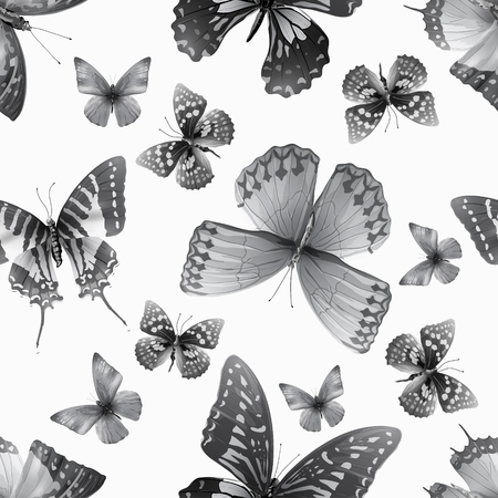 seamless pattern with butterflies, vector illustration, clip-artのイラスト素材