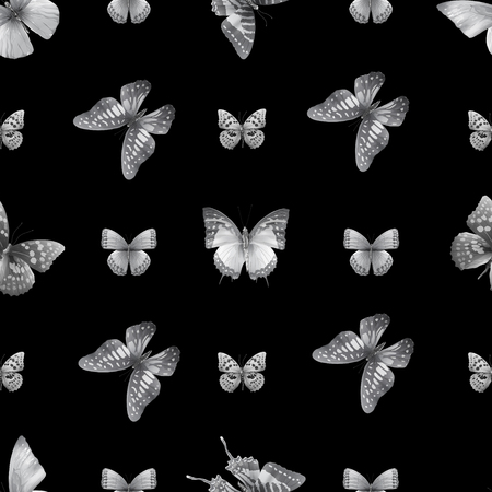 Seamless pattern from butterflies, vector illustration, clip-artのイラスト素材