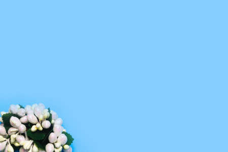 artificial roses on a blue background frame for text. copy spaceの写真素材