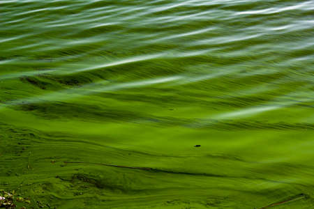 toxic pollution in the river greenの写真素材