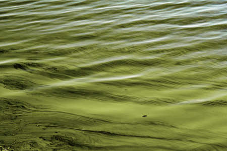 toxic pollution in the river oneの写真素材