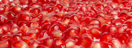 Pomegranate berries on a white background isolateの写真素材
