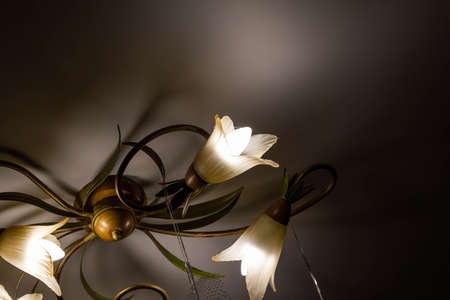 A chandelier in the shape of flowers in a dark key on a white ceilingの写真素材