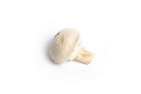 Champignon mushroom on a white background isolateの写真素材