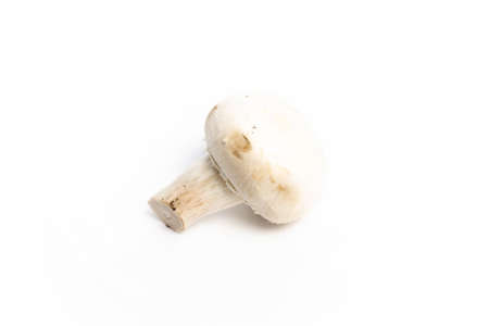 Champignon mushroom on a white background isolateの写真素材