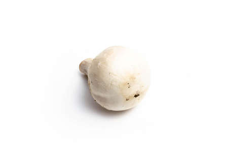 Champignon mushroom on a white background isolateの写真素材