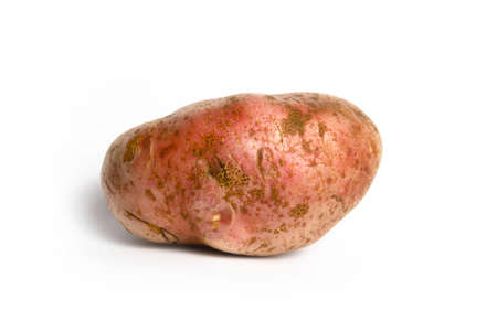 Potato on a white background isolateの写真素材