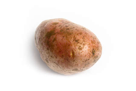Potato on a white background isolateの写真素材