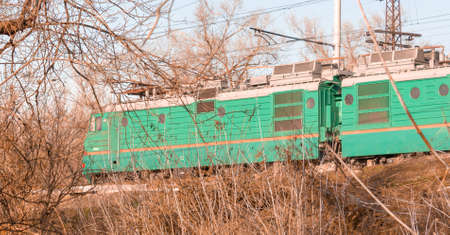 Green head train rides on rails through tree branchesの写真素材