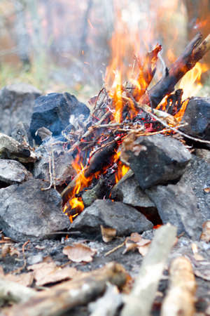 Stone fire bonfire burning sticks firewood in autumnの写真素材